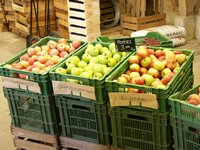 Click to see big picture (667x500 pixels; 114 KB)