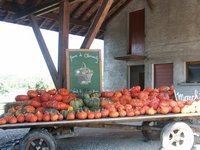 Click to see big picture (667x500 pixels; 96 KB)