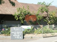 Click to see big picture (667x500 pixels; 94 KB)