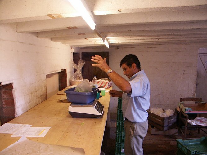 Click to see next picture