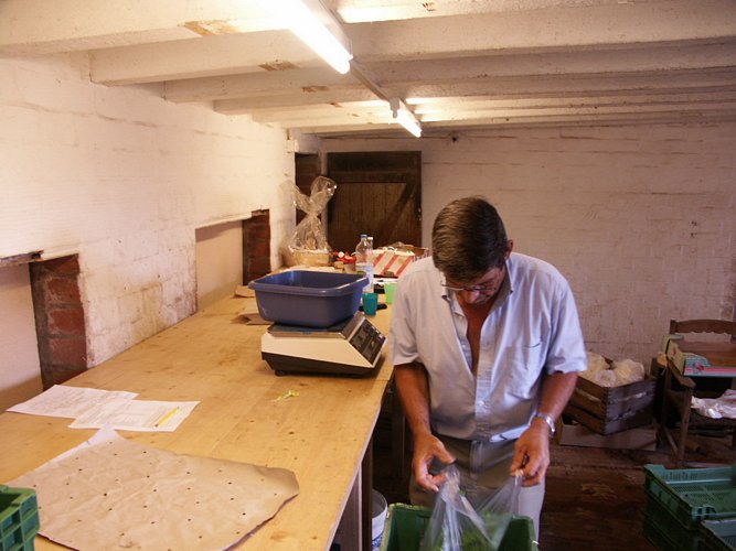 Click to see next picture